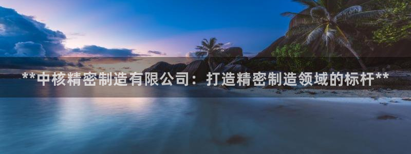 彩神VI首页：**中核精密制造有限公司：打造精密制造领域的标杆**