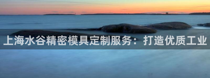 彩神网能赚钱是怎么回事：上海水谷精密模具定制服务：打造优质工业
