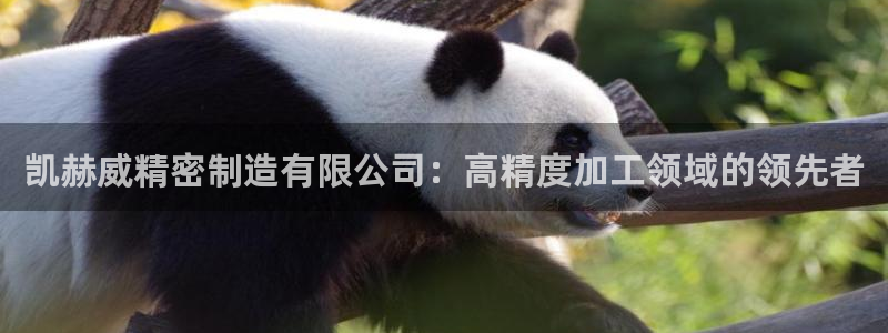 彩神平台之间是什么关系：凯赫威精密制造有限公司：高精度加工领域的领先者