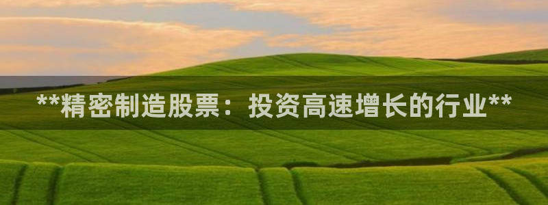 彩神iv是正规平台吗?：**精密制造股票：投资高速增长的行业**