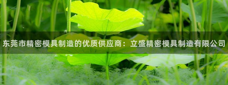 彩神是什么平台的游戏：东莞市精密模具制造的优质供应商：立盛精密模具制造有限公司