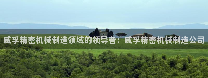 新版彩神v8登录：威孚精密机械制造领域的领导者：威孚精密机械制造公司
