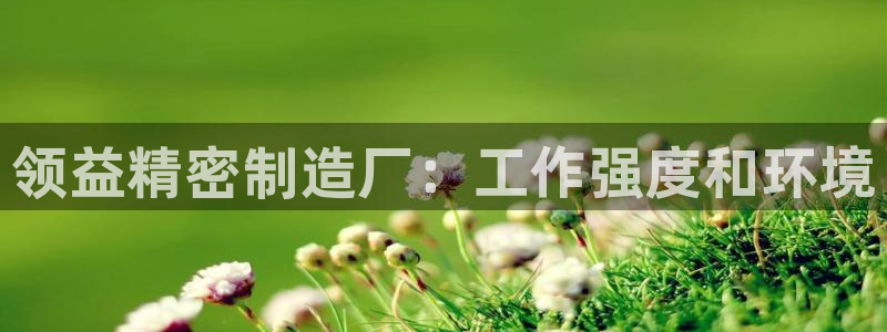 彩神v8是一个什么平台啊：领益精密制造厂：工作强度和环境