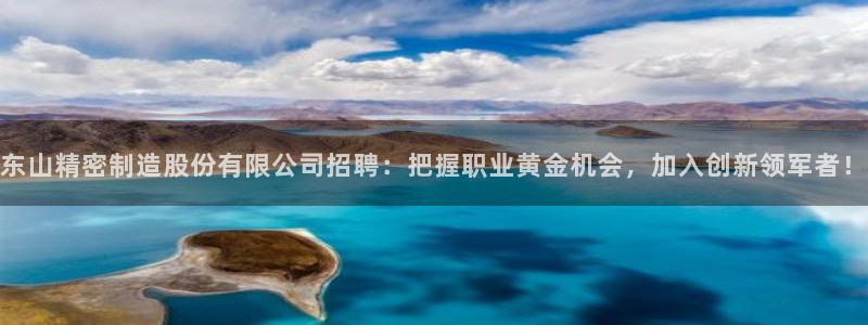 彩神官方登录：东山精密制造股份有限公司招聘：把握职业黄金机会，加入创新领军者！
