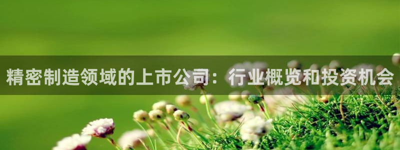 下载彩神通关注金码：精密制造领域的上市公司：行业概览和投资机会