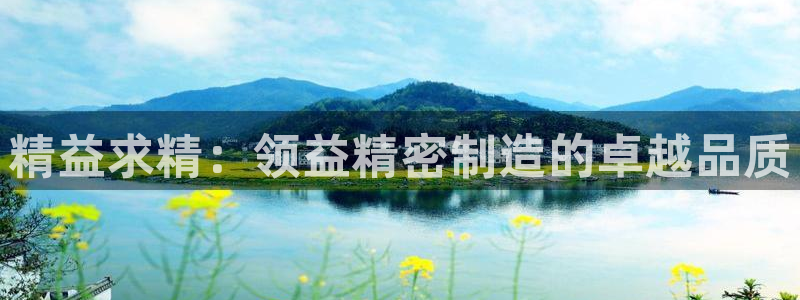 彩神V集团有限公司：精益求精：领益精密制造的卓越品质