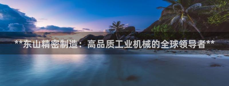 彩神大发云：**东山精密制造：高品质工业机械的全球领导者**