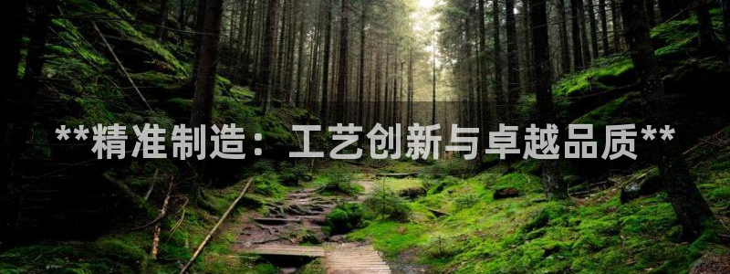 彩神v8iii：**精准制造：工艺创新与卓越品质**