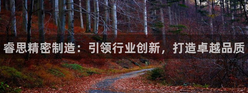 彩神v天天：睿思精密制造：引领行业创新，打造卓越品质