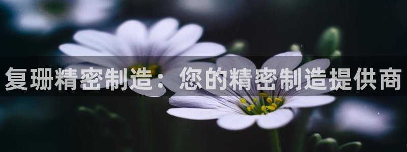 大发彩神争：复珊精密制造：您的精密制造提供商