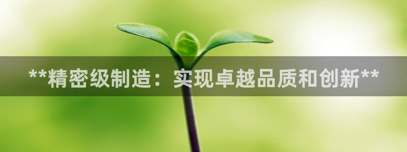 彩神vlll(中国)百度百科：**精密级制造：实现卓越品质和创新**