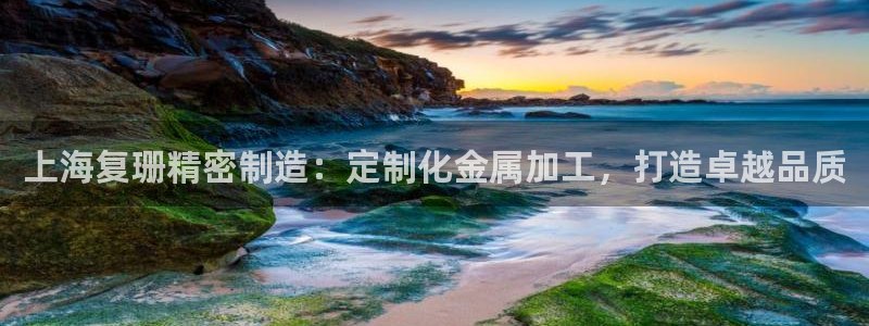 彩神8下载安卓版-彩神8(可提现)官网版1.0.0：上海复珊精密制造：定制化金属加工，打造卓越品质
