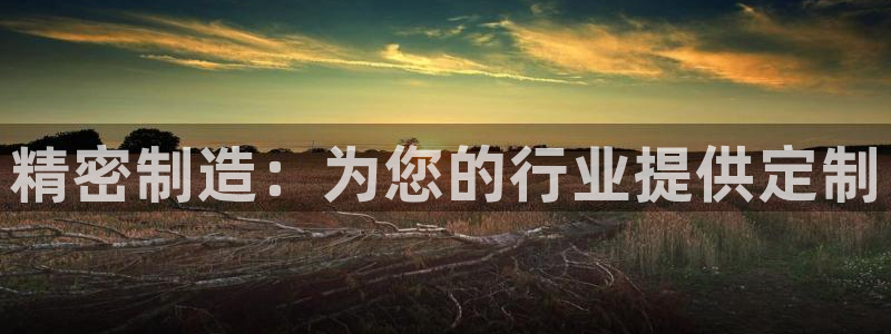 彩神iv是正规平台吗?：精密制造：为您的行业提供定制