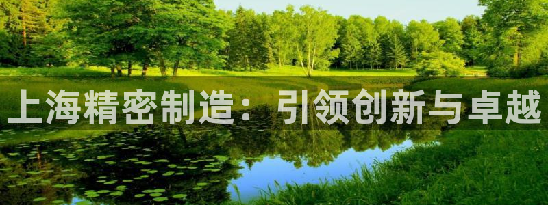 彩神vii购彩l心：上海精密制造：引领创新与卓越
