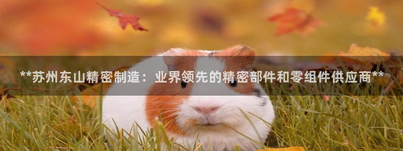 彩神vlll(中国)百度百科