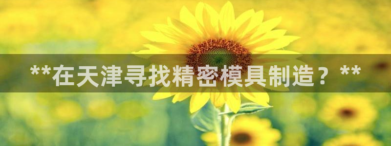 彩神vlll官方网：**在天津寻找精密模具制造？**