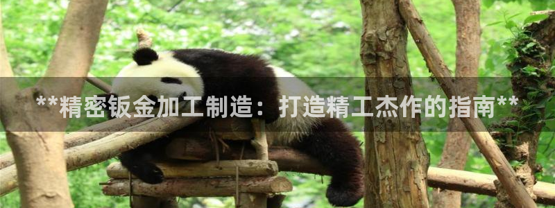 彩神8最新版下载