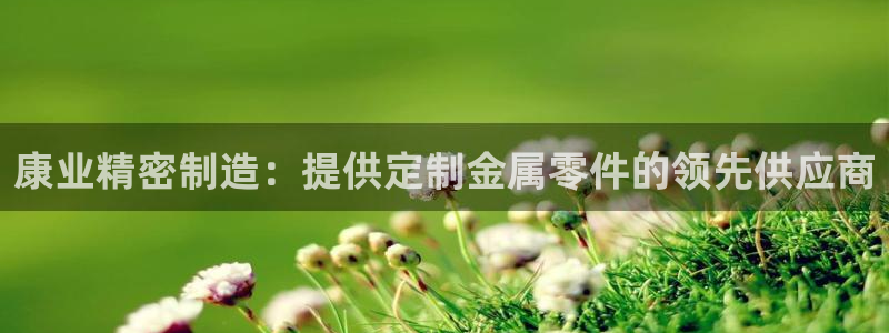 彩神v8下载app：康业精密制造：提供定制金属零件的领先供应商