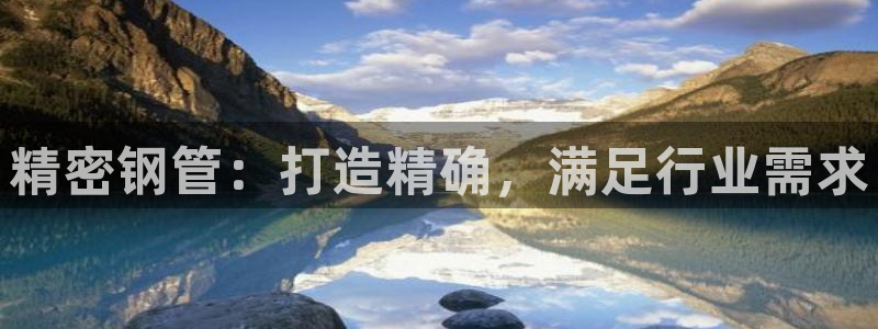 彩神v8app：精密钢管：打造精确，满足行业需求