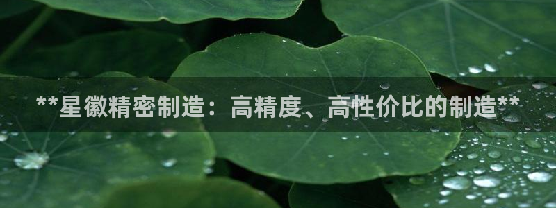 彩神争霸官网登录平台：**星徽精密制造：高精度、高性价比的制造**