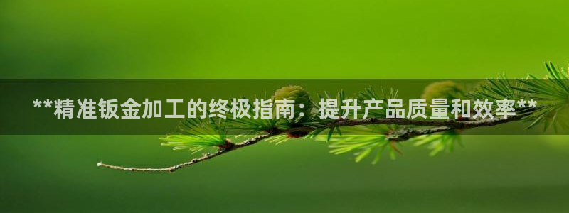 彩神8彩平台客服：**精准钣金加工的终极指南：提升产品质量和效率**