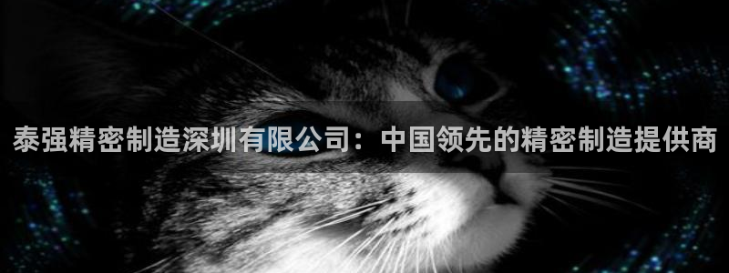 彩神vi官网版：泰强精密制造深圳有限公司：中国领先的精密制造提供商