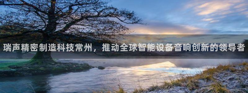 彩神v8是一个什么平台啊：瑞声精密制造科技常州，推动全球智能设备音响创新的领导者