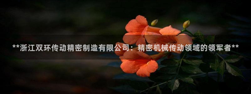 彩神vllⅰ购彩大厅：**浙江双环传动精密制造有限公司：精密机械传动领域的领军者**