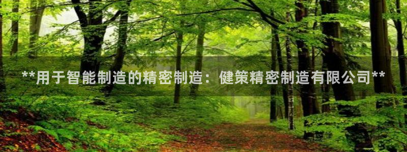彩神v1官网：**用于智能制造的精密制造：健策精密制造有限公司**