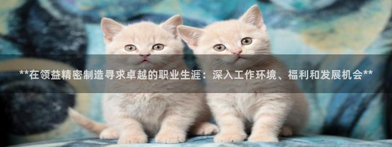 新版彩神v8登录：**在领益精密制造寻求卓越的职业生涯：深入工作环境、福利和发展机会**