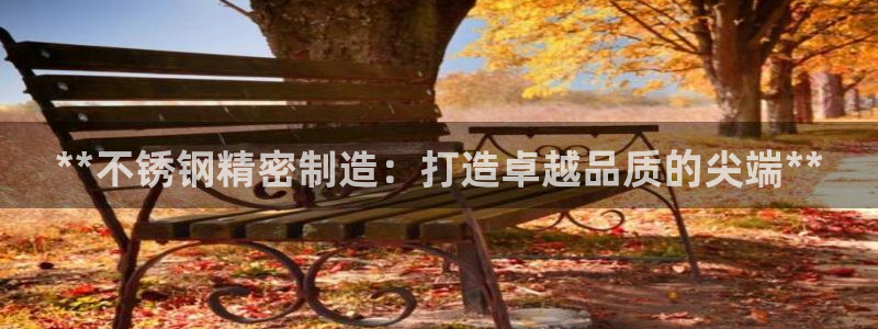 彩神v8是一个什么平台游戏：**不锈钢精密制造：打造卓越品质的尖端**