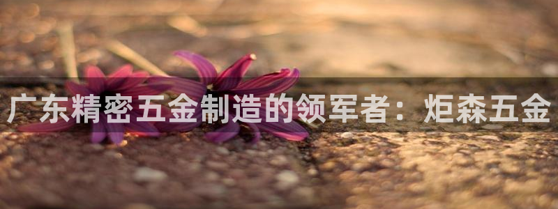 彩神购彩-购彩大厅入口500：广东精密五金制造的领军者：炬森五金