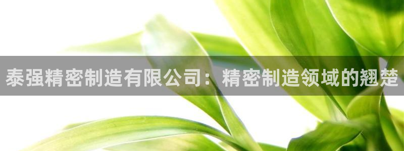 彩神ix官网是哪个公司的