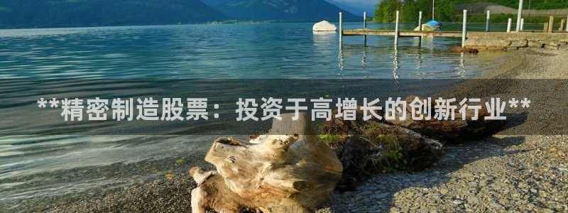 彩神是真的吗：**精密制造股票：投资于高增长的创新行业**