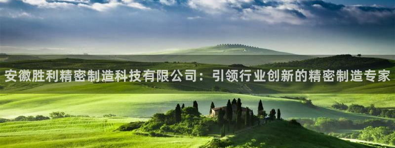 彩神vll首页：安徽胜利精密制造科技有限公司：引领行业创新的精密制造专家