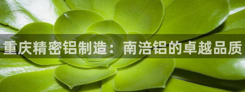 彩神viii官网：重庆精密铝制造：南涪铝的卓越品质