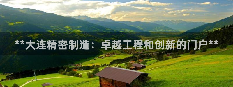 大发彩神官网下载：**大连精密制造：卓越工程和创新的门户**