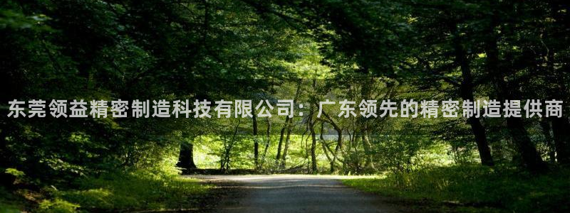 v彩神88iii：东莞领益精密制造科技有限公司：广东领先的精密制造提供商