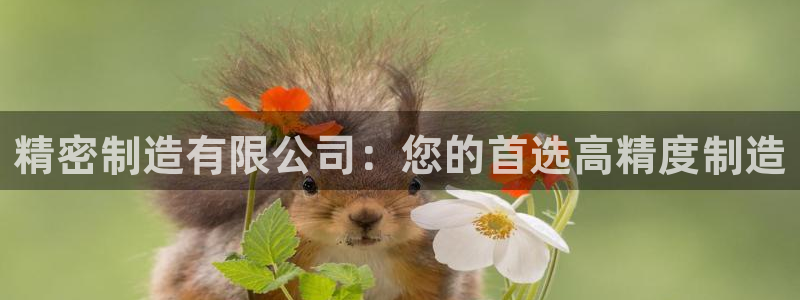 彩神vii购彩l心：精密制造有限公司：您的首选高精度制造
