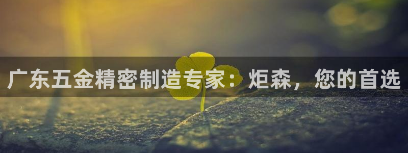 彩神V集团公司
