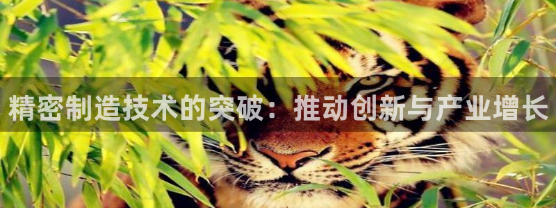 新版彩神v8登录：精密制造技术的突破：推动创新与产业增长