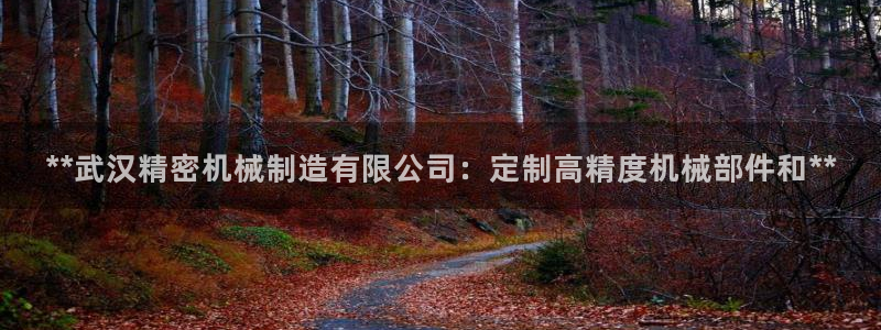 彩神ix官网是哪个公司的：**武汉精密机械制造有限公司：定制高精度机械部件和**
