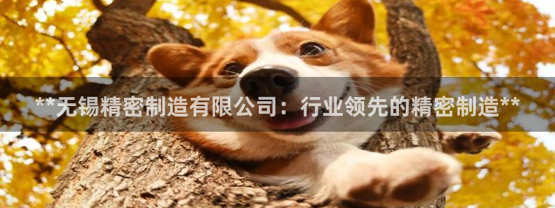 彩神是正规平台吗知乎：**无锡精密制造有限公司：行业领先的精密制造**