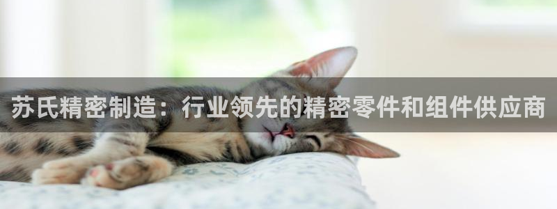 彩神ix平台：苏氏精密制造：行业领先的精密零件和组件供应商