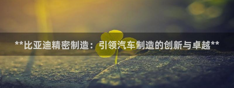 彩神vll官网在线登录：**比亚迪精密制造：引领汽车制造的创新与卓越**