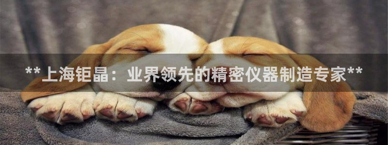 彩神v网赌软件下载：**上海钜晶：业界领先的精密仪器制造专家**