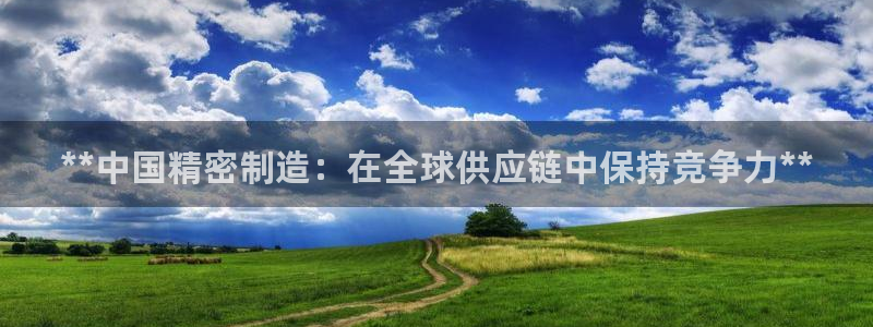 彩神v8是一个什么平台：**中国精密制造：在全球供应链中保持竞争力**