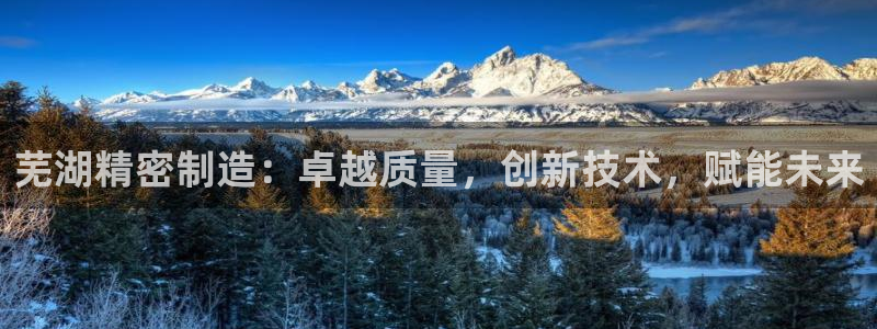 彩神vlll(中国)百度百科：芜湖精密制造：卓越质量，创新技术，赋能未来