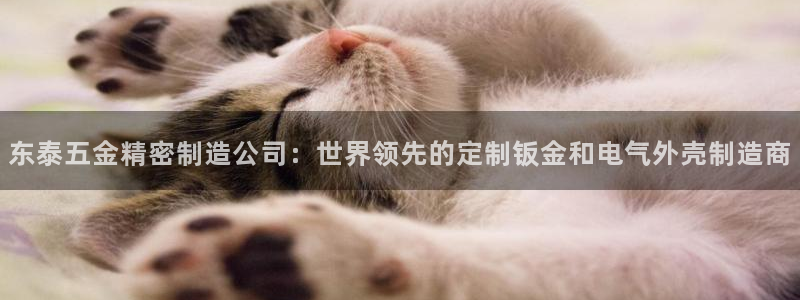 彩神viii官网：东泰五金精密制造公司：世界领先的定制钣金和电气外壳制造商