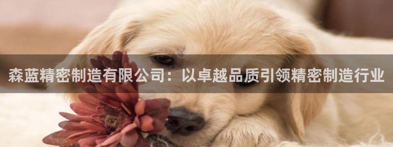 彩神v8平台正规吗：森蓝精密制造有限公司：以卓越品质引领精密制造行业